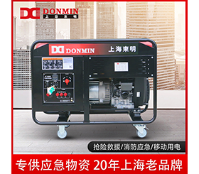 東明單三相20kw小型應(yīng)急備用汽油發(fā)電機組 DMDS22000CXD/YJ