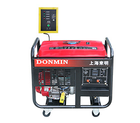 冷鏈配套單相8kw無人值守ATS汽油發(fā)電機 DM10000CXD(ATS)